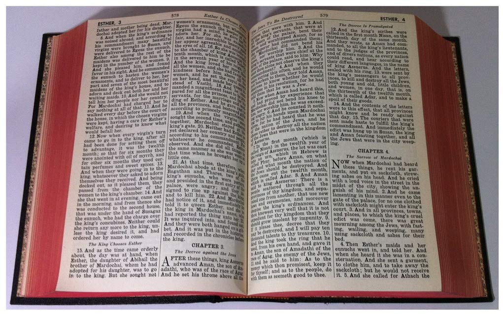 New Catholic Edition of the Holy Bible - Large Print, Genuine Leather Cover - Perfect for Worship, Bible Study & Gift Giving