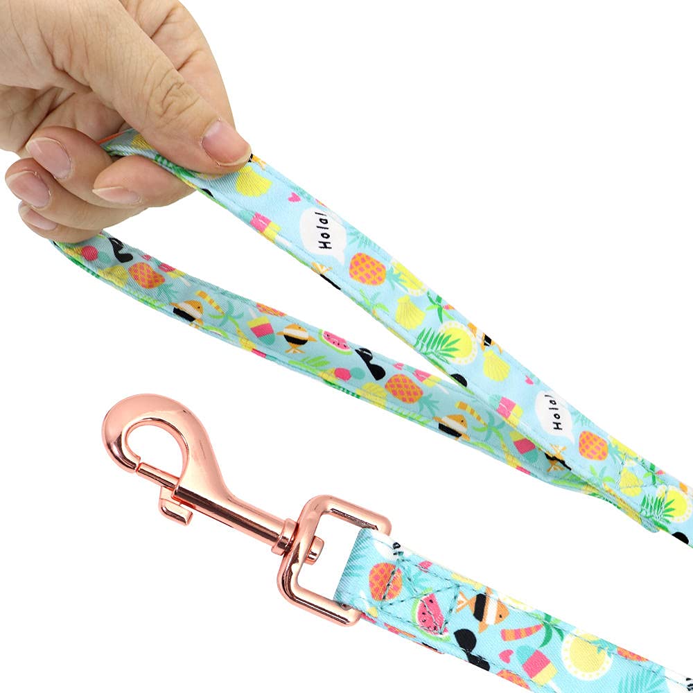 Premium Dog Harness and Leash Set - Adjustable Reflective Pet Collar with Soft Padded Vest for Medium & Large Dogs - Perfect for Walking, Hiking & Outdoor Adventures