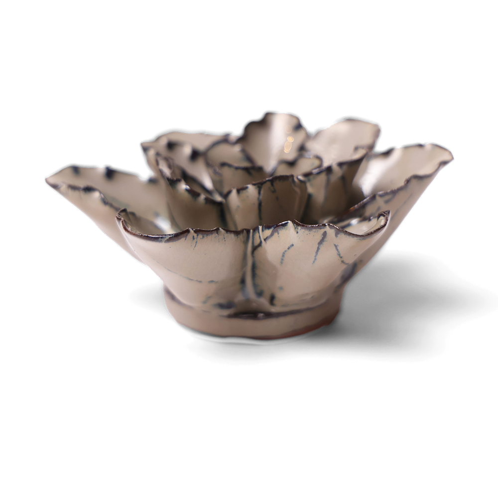Japanese Ceramic Flower Pot - Ecru Cactus Planter for Home & Office Decor | Indoor Succulent Garden Accessory