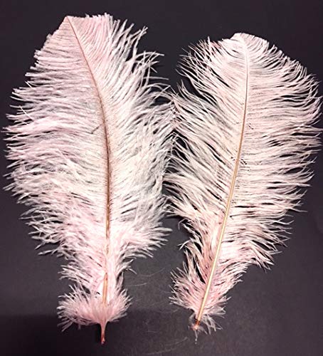 100-Piece Baby Pink Dyed Ostrich Drab Feathers 12-17