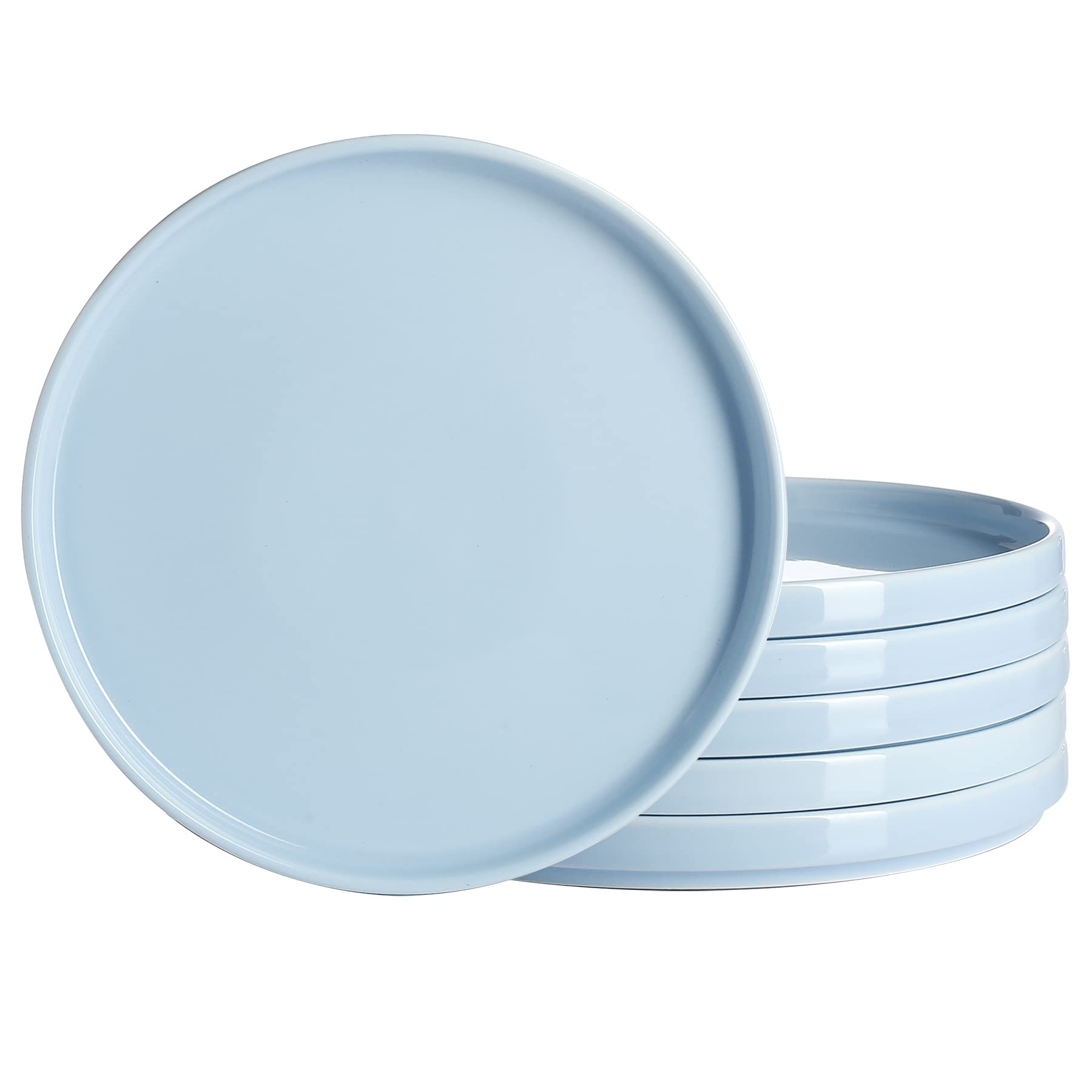 Porcelain Dinner Plates Set of 6 - 10