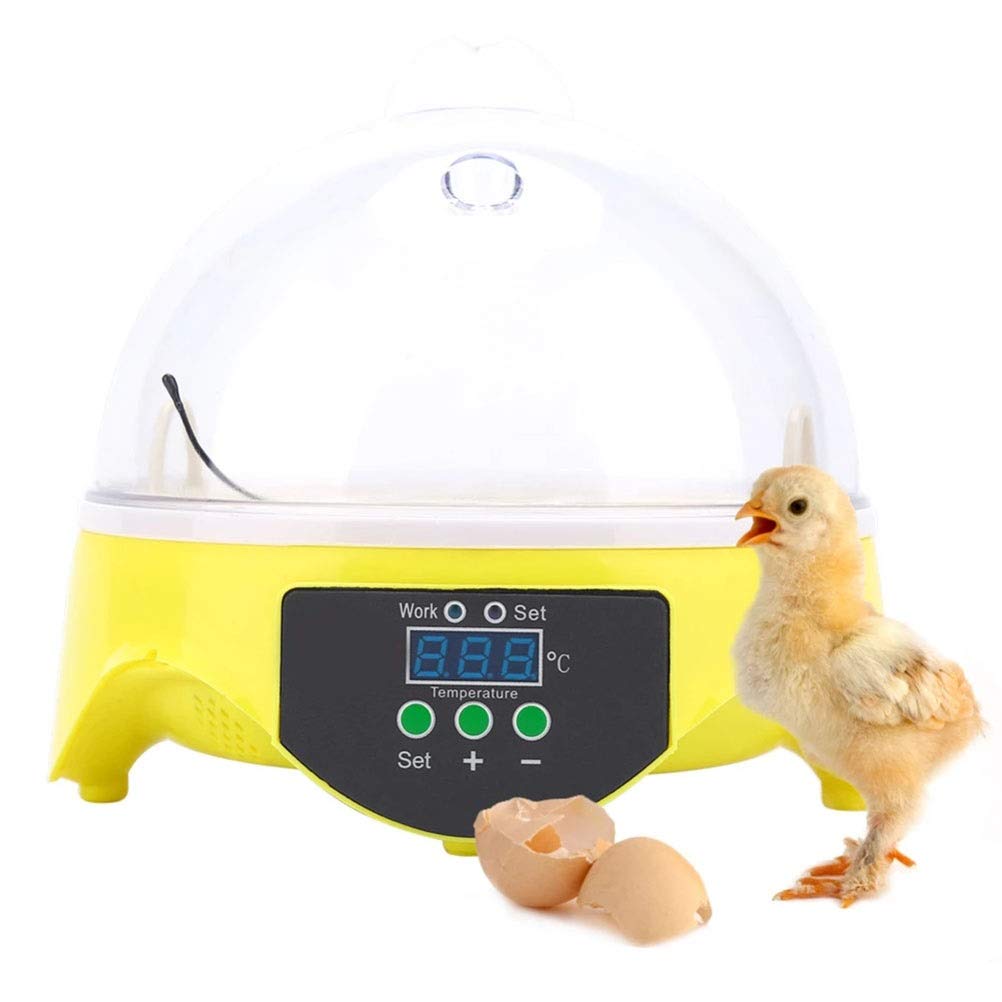 7 Eggs Digital Incubator - Automatic Mini Egg Hatcher with Turner & Temperature Control for Chicken, Turkey, Goose, Quail Eggs - Perfect for Home Poultry Farming, Classroom Projects & Backyard Hatching