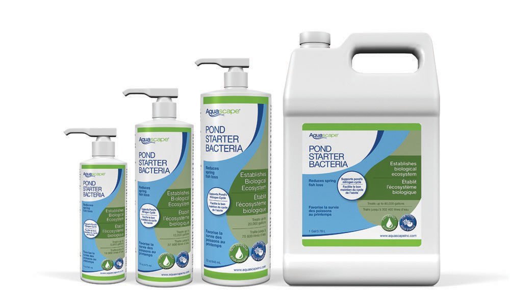 Aquascape 96008 Pond Starter Bacteria Water Treatment for Ponds, Water Features, and Fountains - 1-Gallon Solution for Clean and Healthy Water