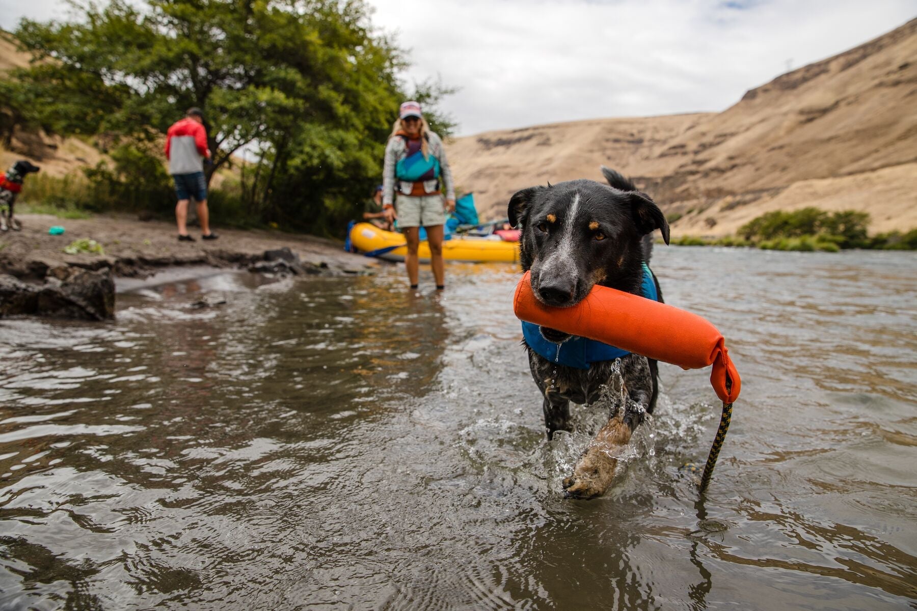 Ruffwear Lunker Floating Foam Dog Toy for Water Play - Campfire Orange, Durable & Fun Chew Toy for Swimming, Fetch & Outdoor Adventures