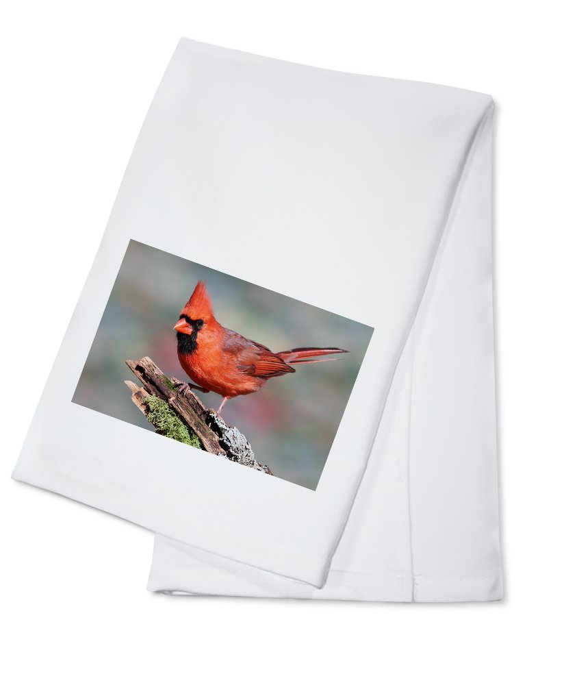 100% Cotton Tea Towel - Decorative Hand Towel for Kitchen & Home | Absorbent Dish Towel for Drying Dishes, Cleaning & Decor