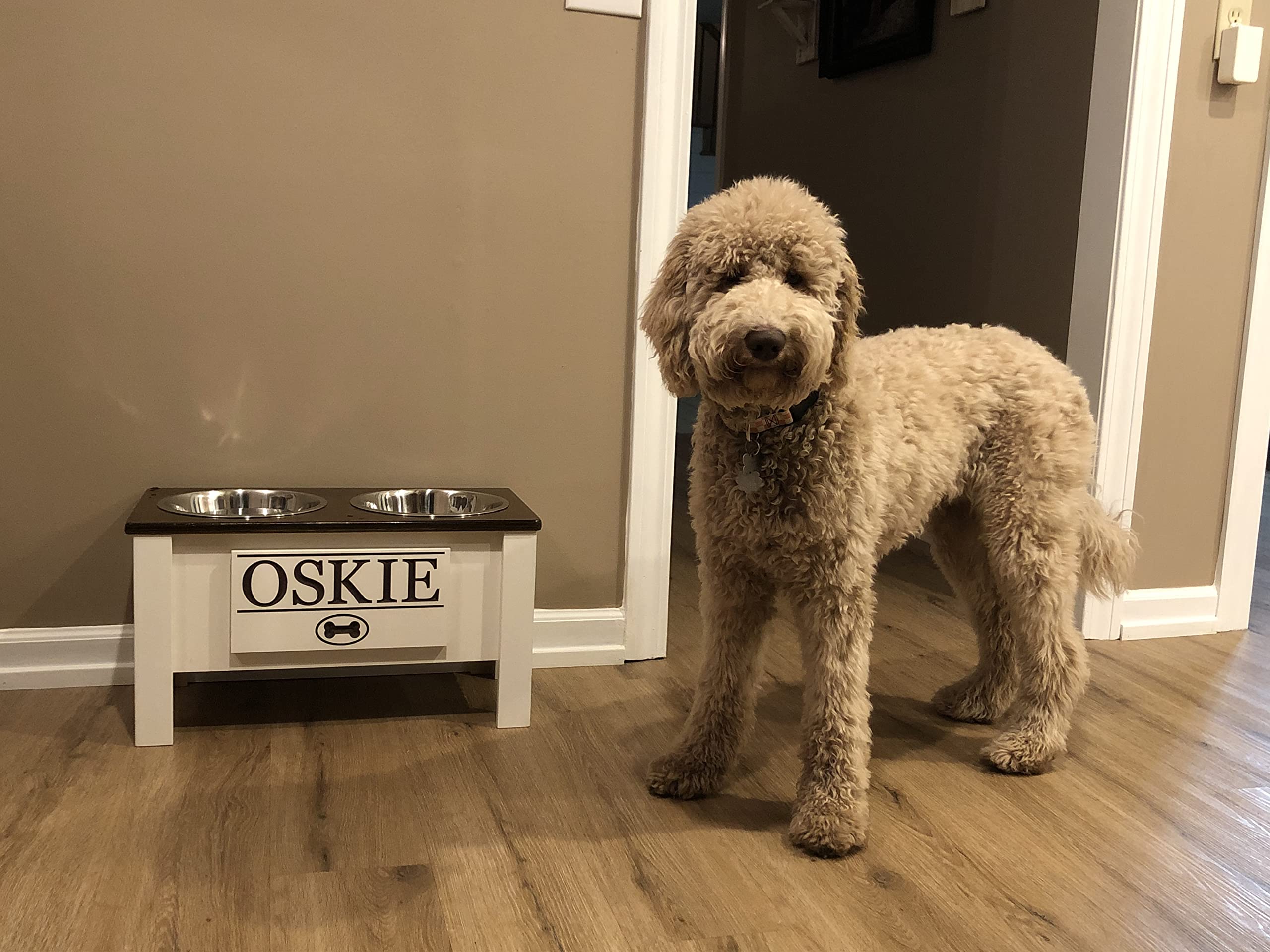 **Personalized Elevated Dog Bowl Stand for All Sizes - Stainless Steel Raised Dog Dish with Storage (Small, Dark Walnut) - Perfect for Large, Medium, Small & X-Small Dogs - Ideal for Home, Kitchen, or Outdoor Use**