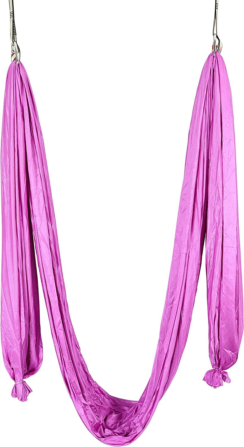 HECASA 20 ft Purple Yoga Sling Inversion Frame Kit - Aerial Yoga Swing for Indoor & Outdoor Use - Includes Safety Belts & Nylon Aluminum Rig - Perfect for Yoga, Stretching, and Fitness Training