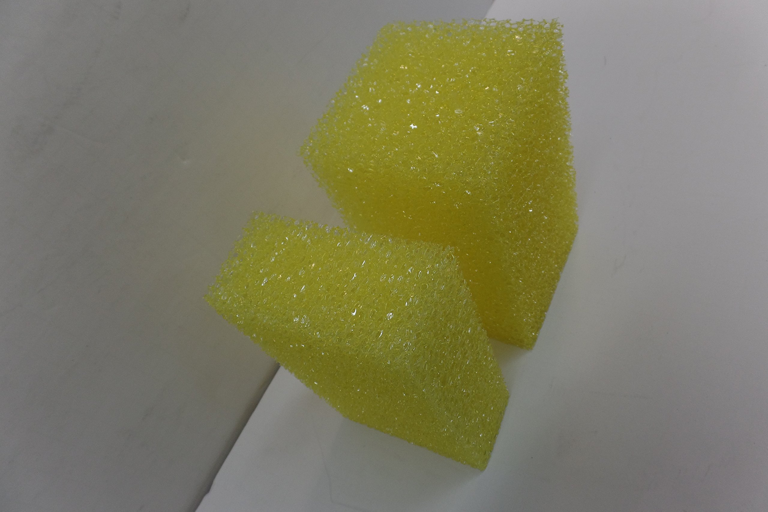 2 Pack Bug Sponges - Effective Insect Cleaning Sponge for Kitchen, Camping, and Outdoor Use