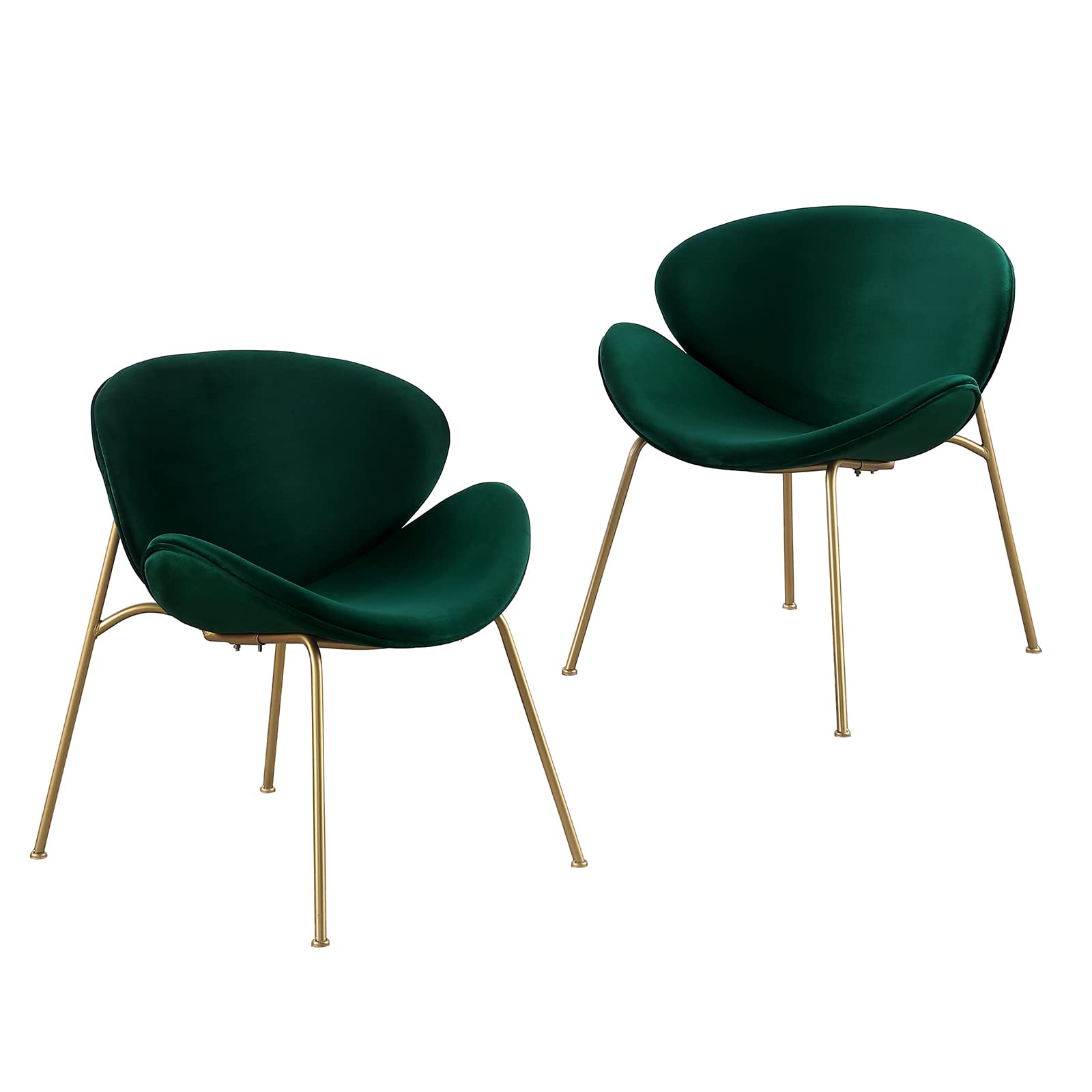 Luxury Velvet Dining Chairs Set of 2 - Modern Side Chairs with Golden Metal Legs & Curved Back - Elegant Vanity, Reading & Leisure Chairs for Bedroom, Living Room, Kitchen - Perfect for Dining, Home Office & Lounge Areas