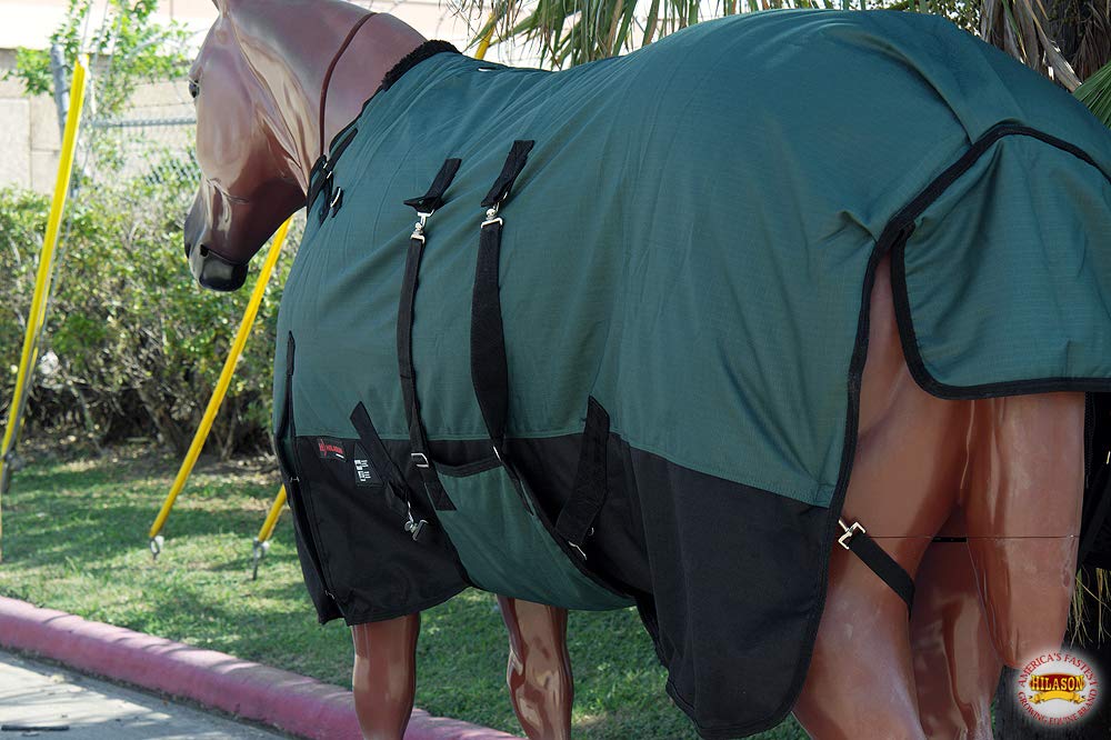 HILASON 1200D Winter Waterproof Poly Horse Blanket with Belly Wrap - 66 Inch Green | Heavy Duty Horse Rug for Cold Weather | Ideal for Trail Riding, Stable Use & Outdoor Protection