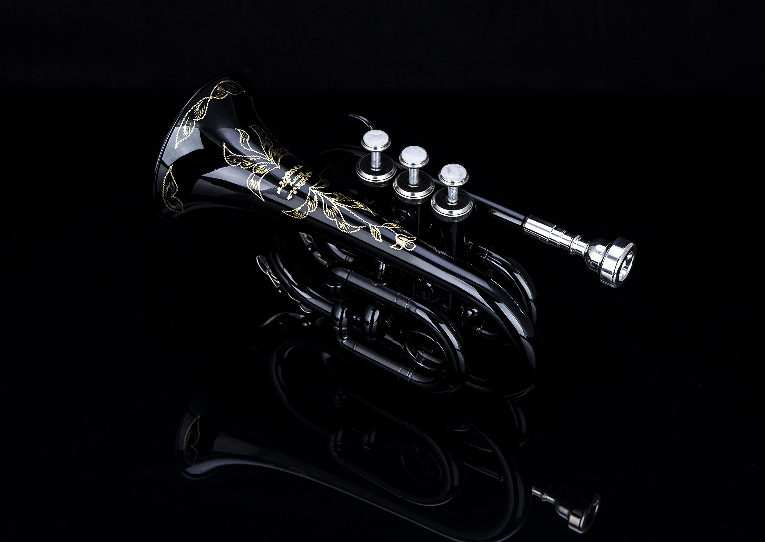 Glory Bb Pocket Trumpet with Hard Case - Professional Compact Brass Instrument for Travel & Practice | Includes Cleaning Cloth & Gloves | Perfect for Jazz, Beginners & Street Performers (Black)