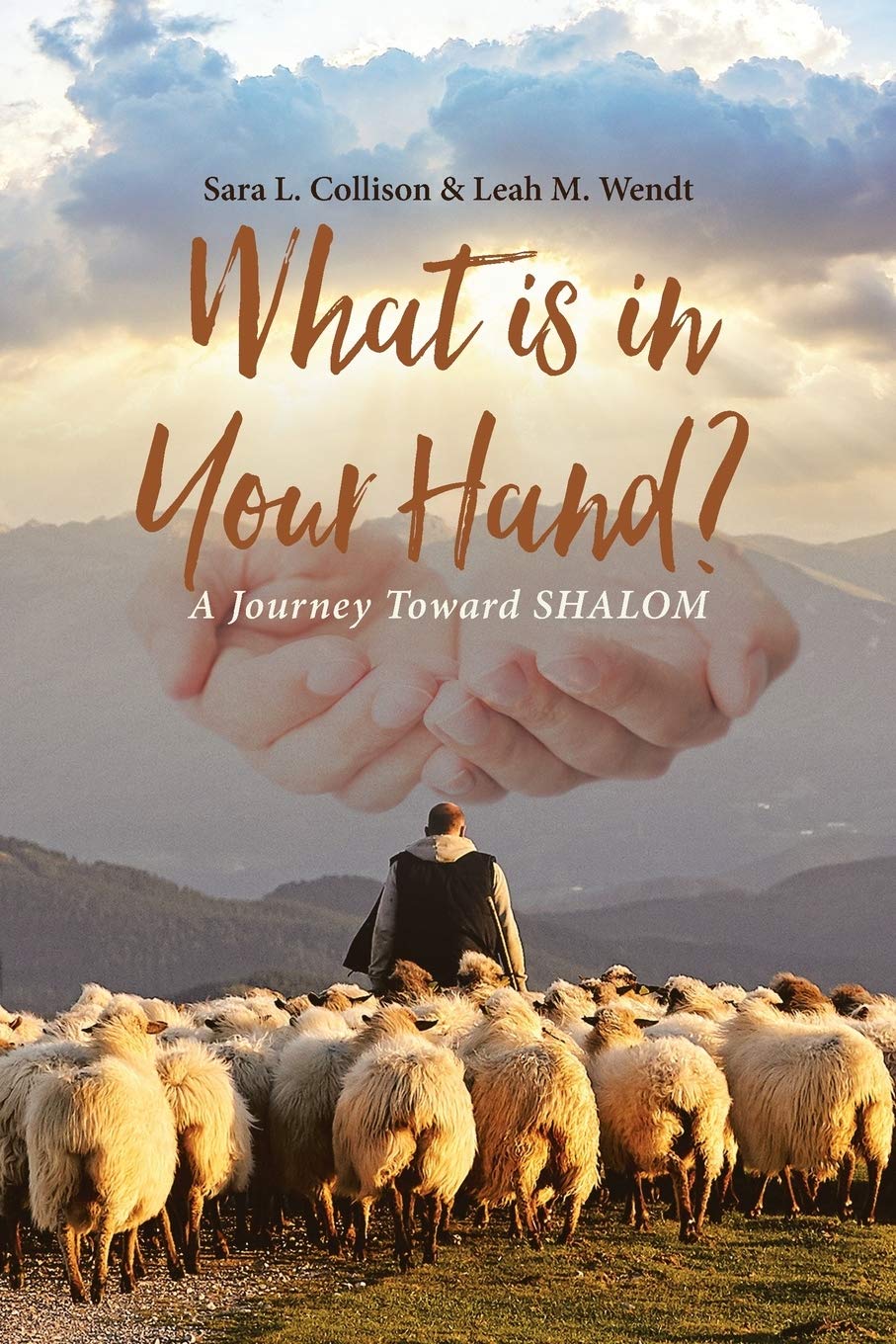 What is in Your Hand? A Journey Toward SHALOM - Inspirational Christian Book for Personal Growth & Spiritual Reflection | Perfect for Bible Study, Small Groups & Gift Giving
