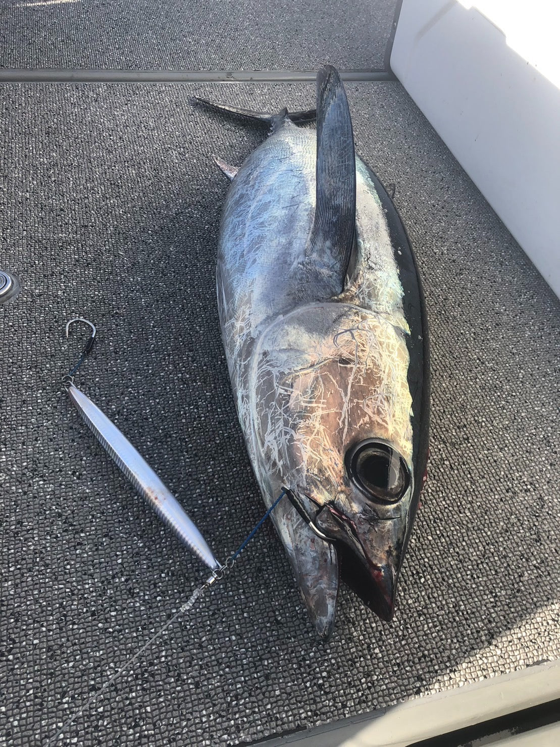 Valley Hill Blue Lancer Tuna Fishing Lures - Premium Saltwater Jigs for Tuna, Mahi Mahi & Offshore Gamefish - Perfect for Deep Sea Fishing & Trolling Adventures