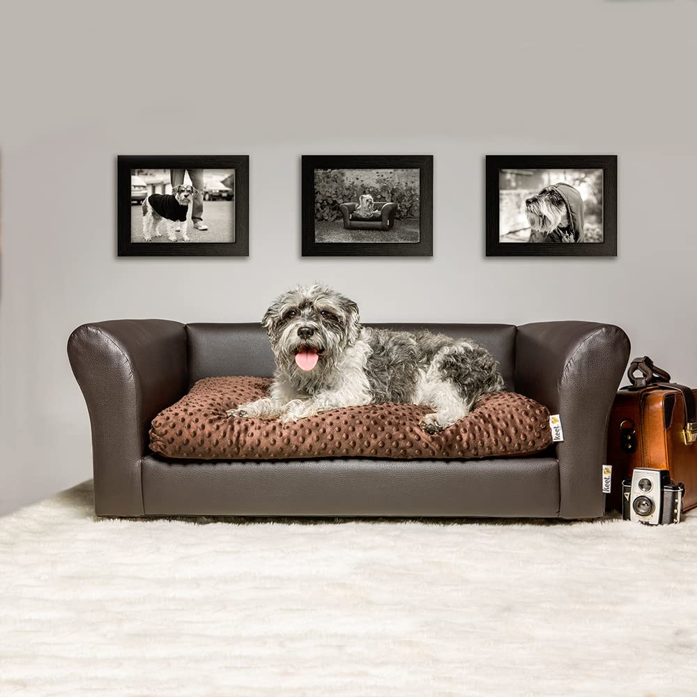 Keet Luxe Personalized Upholstered Dog Bed & Sofa - Large Chocolate Brown - Premium Pet Furniture for Living Room, Bedroom & Office