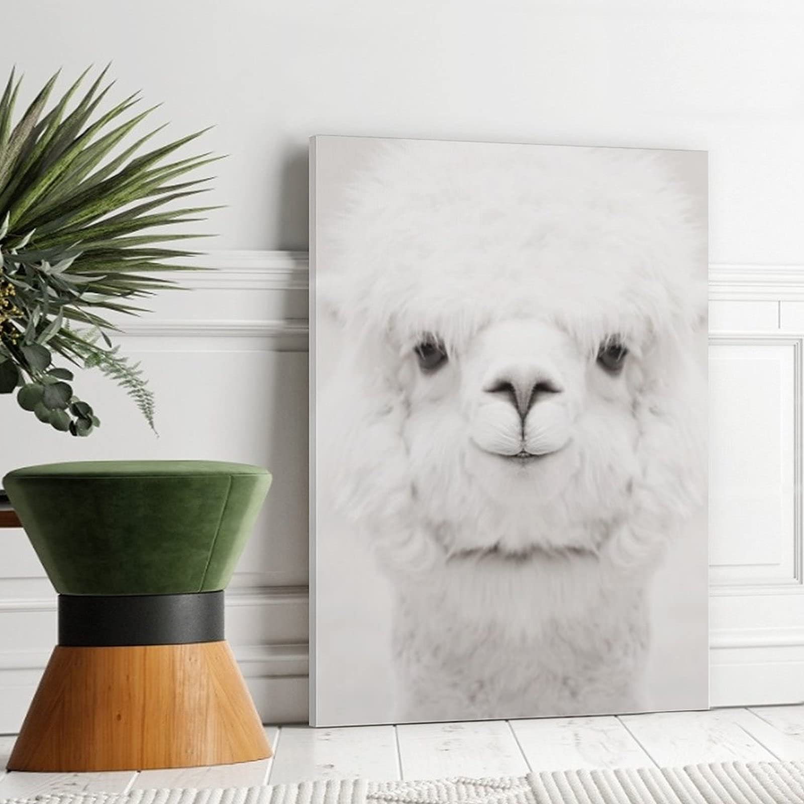 Smiling Alpaca Canvas Wall Art - 14