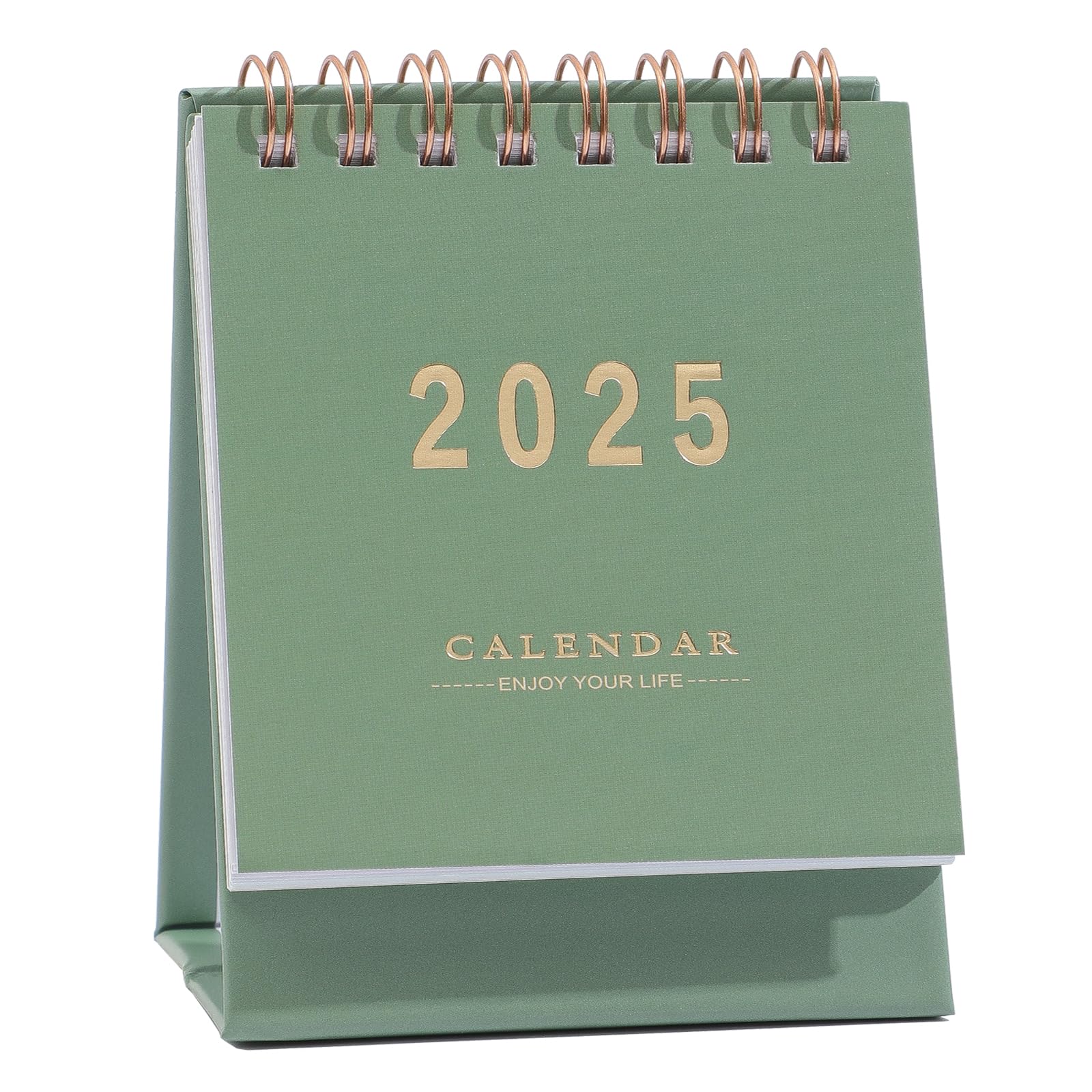 2025 Mini Desk Calendar - Standing Flip Monthly Planner with Twin-Wire Binding - Thick Paper Home & Office Desktop Calendar (Green) | Perfect for Scheduling, Gift Giving & Workspace Organization