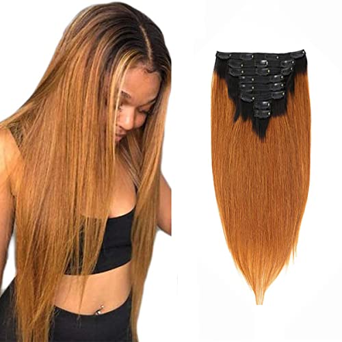 Straight Clip in Hair (1B/30)