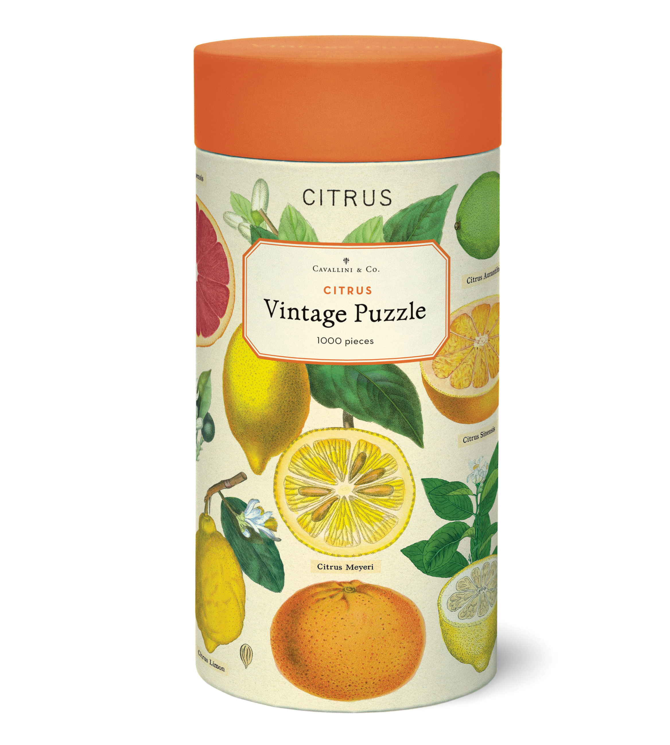 Fun and Challenging Citrus Puzzle - Brain Teaser Game for Kids & Adults | Perfect for Family Game Night, Party Favors, and Stress Relief
