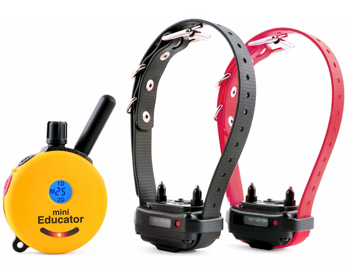 Humane Dog Training Collar with Remote - 100 Safe Stimulation Levels, Waterproof & Rechargeable Educator E-Collar for Small to Medium Dogs | 1/2 Mile Range, Night Light Feature | Perfect for Obedience Training, Behavior Correction & Outdoor Adventures (Yellow)