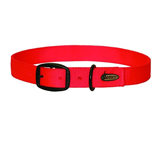 Avery Sporting Dog Standard Collar - Adjustable Hunting & Training Dog Collar for Medium & Large Dogs (Blaze Orange) - Perfect for Outdoor Adventures, Tracking & Field Training