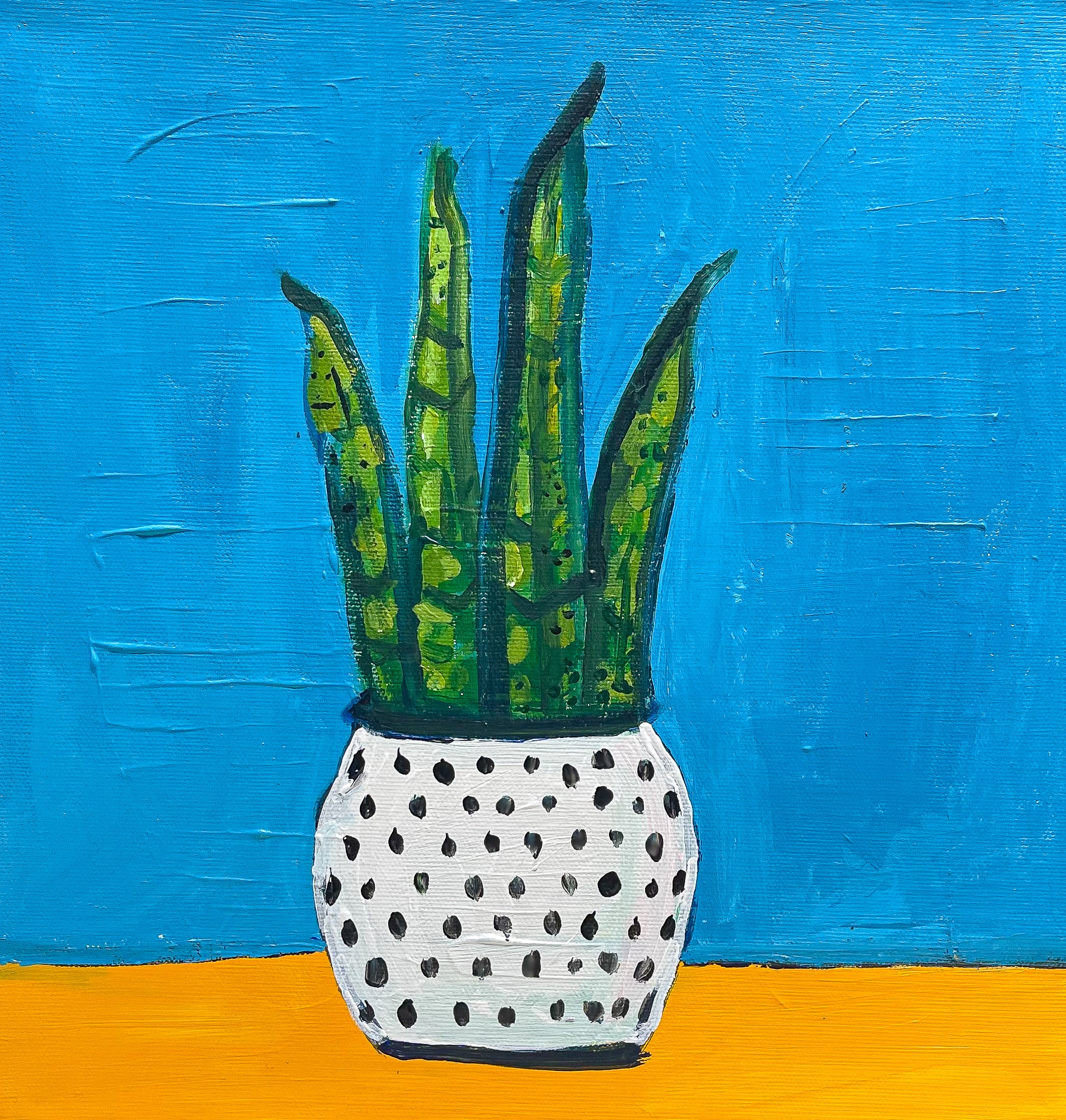 Sansevieria Trifasciata 'Blue' Snake Plant - Low Light Indoor Houseplant for Home, Office & Bedroom Decor