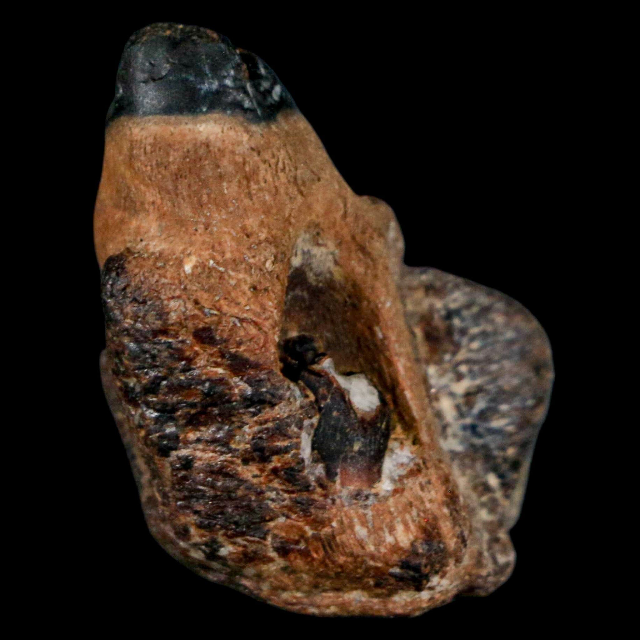 1.2