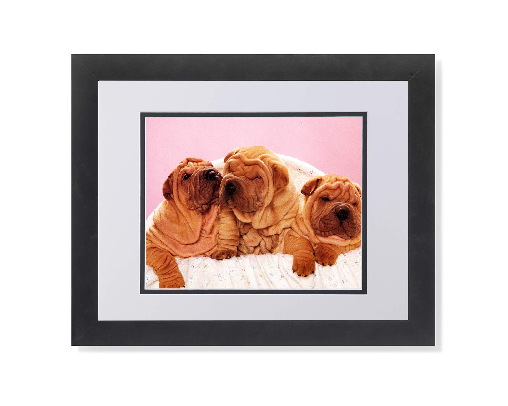 3 Shar-Pei Puppies in Baby Crib Framed Wall Art Print - Cute Dog Nursery Decor, Living Room Picture, Perfect Gift for Pet Lovers