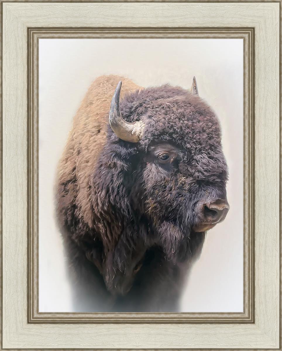 Bison By Matthew Grant | Premium Bison Meat & Jerky | High-Protein Snacks for Camping, Hiking & Outdoor Adventures