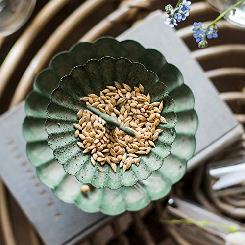 RusticReach Green Iron Two-Tier Decorative Tray for Home & Kitchen - Perfect for Organizing Jewelry, Keys, or Displaying Small Decor Items on Coffee Tables and Vanities