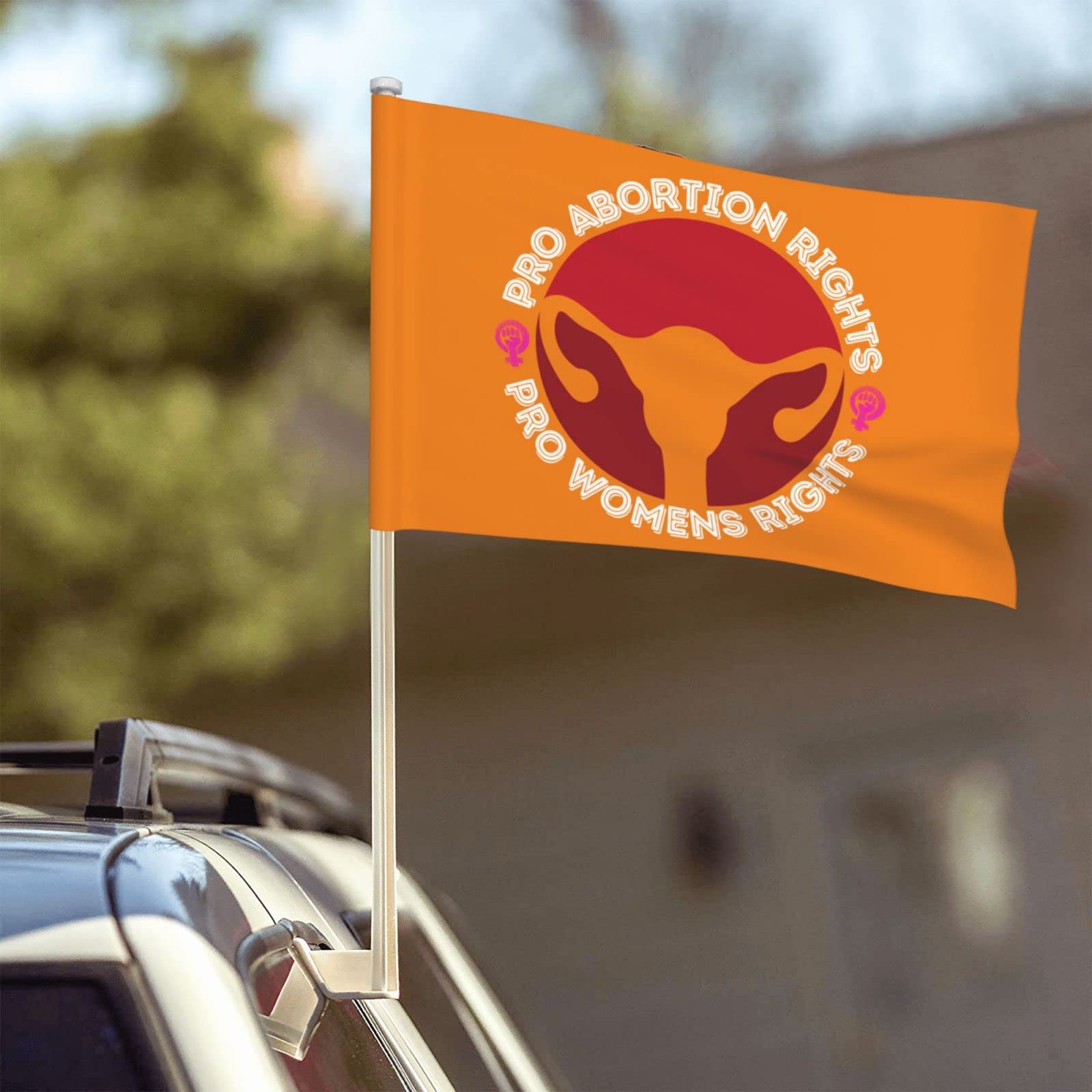 Pro Abortion Rights Car Flag - 12x18 Double Sided for Outdoor Use