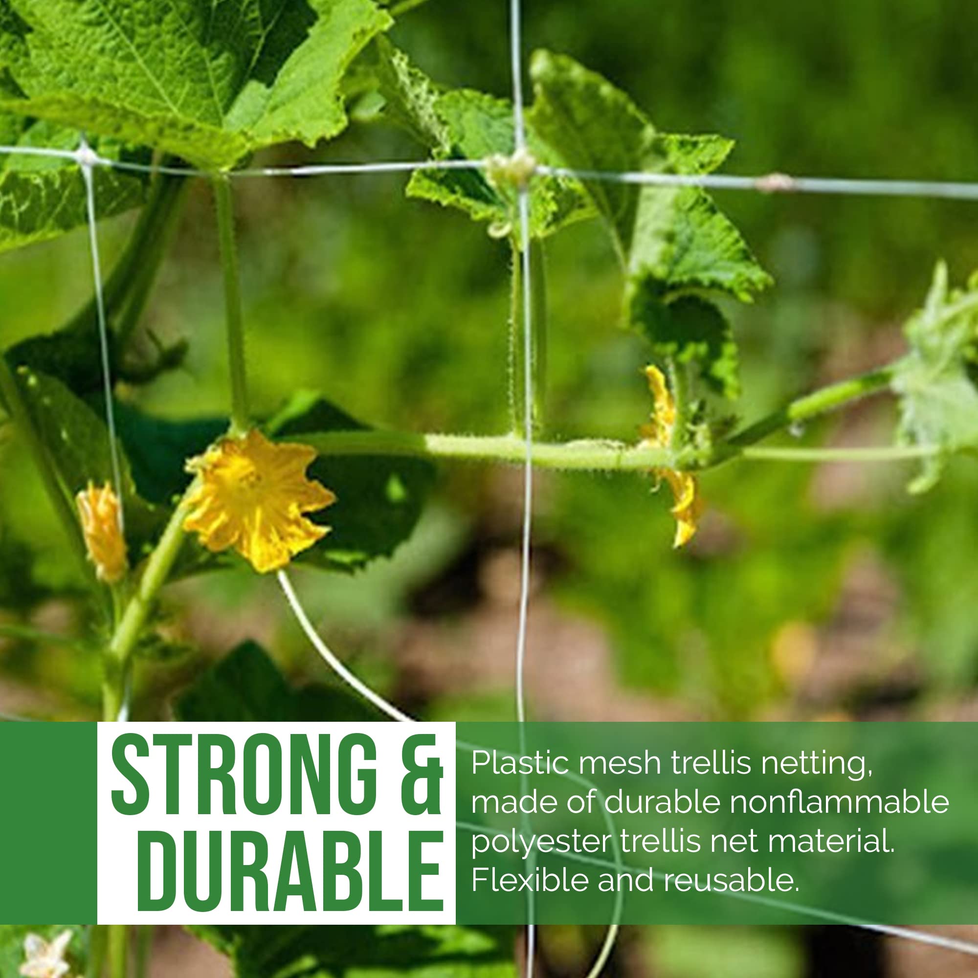 5 ft x 350 ft White Trellis Netting for Plants - Garden Support Mesh for Tomatoes, Grapes, Cucumbers & Vegetables - Durable Raised Bed Plant Net Roll with 6'' Square Openings - Perfect for Vertical Gardening, Vine Support & Backyard Farming