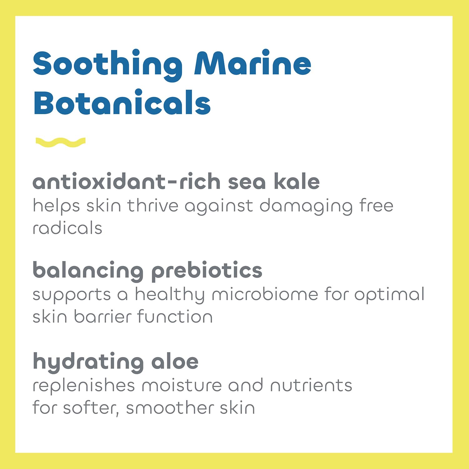 Seaweed Bath Co. Mineral SPF 40 Sunscreen Lotion - Broad Spectrum UVA/UVB Protection, 3.4 oz, Natural & Reef-Safe with Sustainably Harvested Seaweed & Sea Kale, Prebiotic Enriched - Perfect for Daily Face & Body Use at Beach, Pool, or Outdoor Activities
