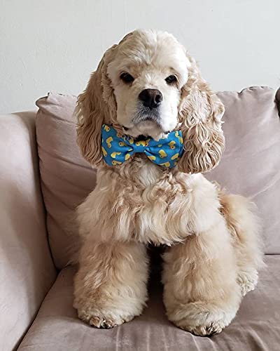 Huxley & Kent Easter Spring Bow Tie for Dogs & Cats - Lucky Ducky Large Pet Bow Tie Collar Attachment | Cute, Comfortable & Durable Dog Cat Bowtie | Perfect for Easter Photos, Spring Parties & Pet Costume Events