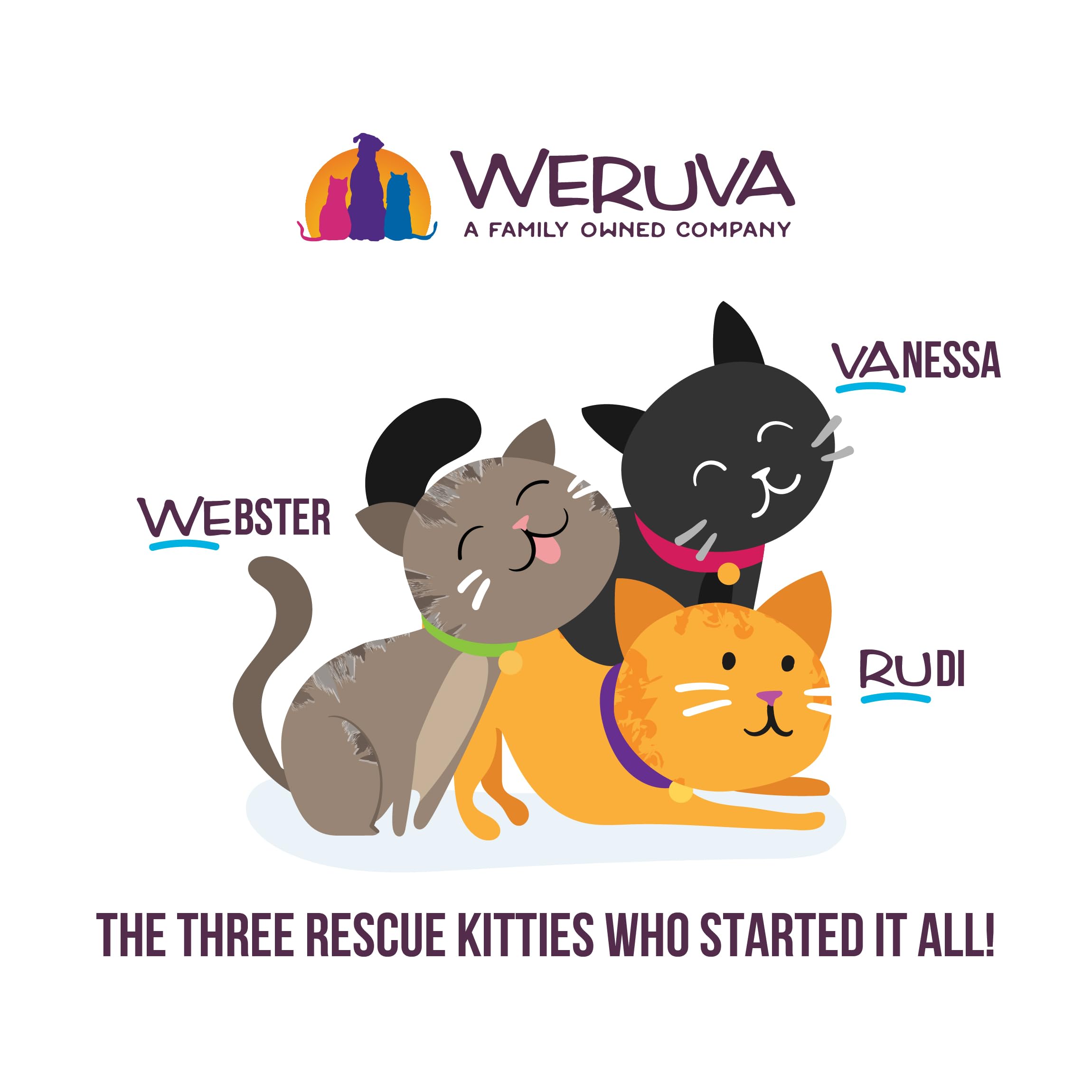 Weruva Cats in The Kitchen Splash Dance Chicken & Ocean Fish Au Jus Cat Food - Grain-Free, High Protein Wet Cat Food for Adult Cats - 6oz Cans (Pack of 24) - Perfect for Mealtime & Special Treats