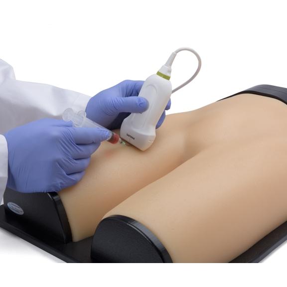 Gen II Femoral Vascular Access & Regional Anesthesia Ultrasound Training Model - Medical Simulation for Ultrasound-Guided Procedures Practice