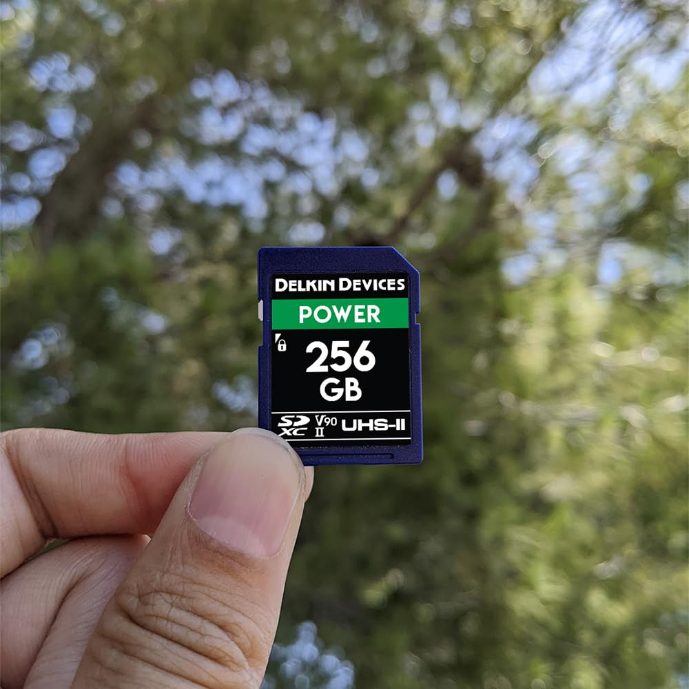 Delkin Devices 256GB POWER SDXC UHS-II V90 Memory Card - High Speed 300MB/s for 4K/8K Video, DSLR & Mirrorless Cameras - DDSDG2000256 - Perfect for Professional Photography & Videography