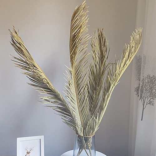 Natural Dried Palm Leaf Fan Decor - Handmade Dried Flowers for Wall Hanging, Wedding Arch, Party & Window Decoration - Boho Home Decor, Tropical Reception Decorations
