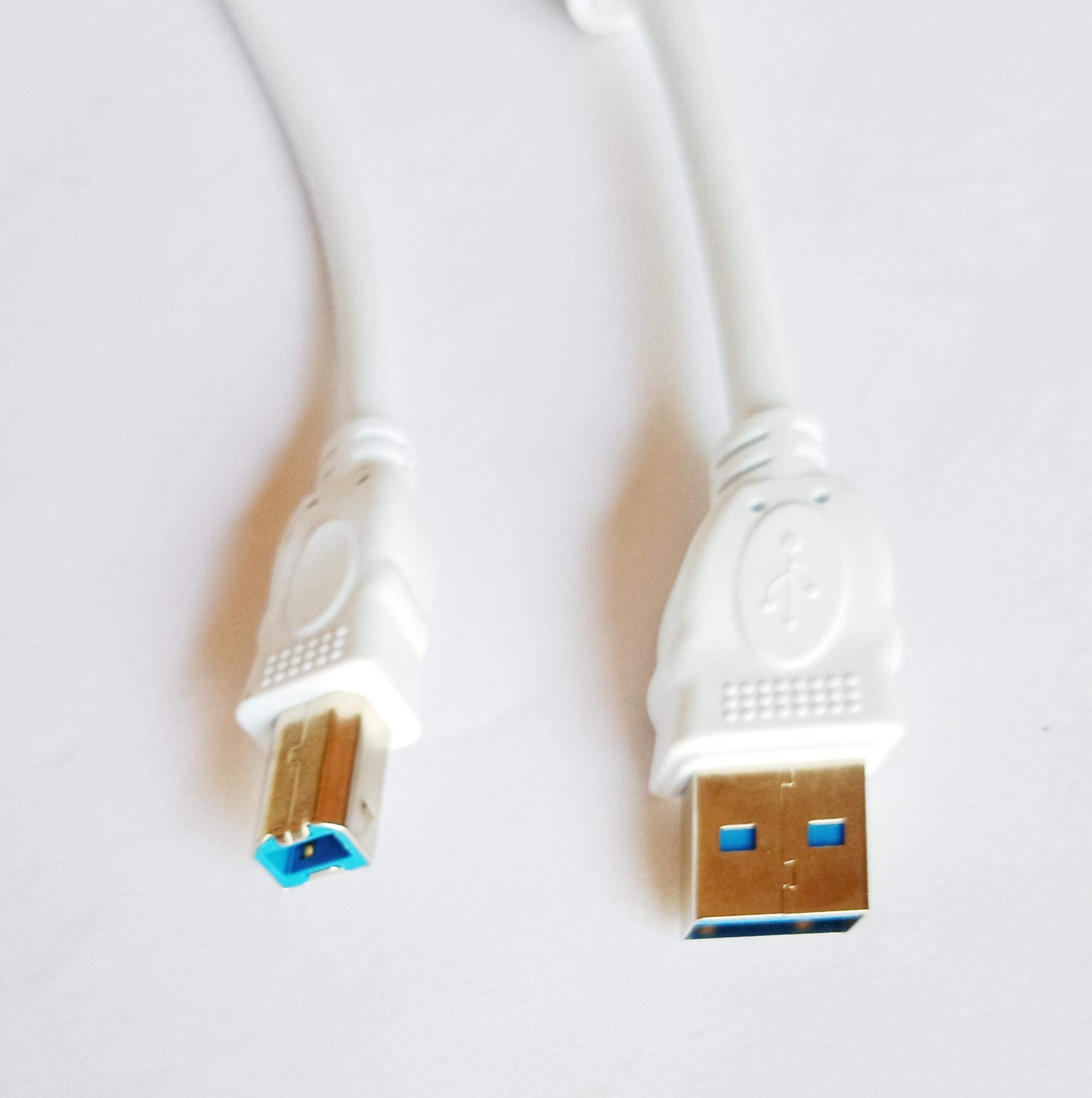 High-Speed USB 3.0 Printer Cable 3M (10ft) - Male to Male Compatible with HP, Canon Printers - White Data Transfer Cord for Home & Office Printing Needs