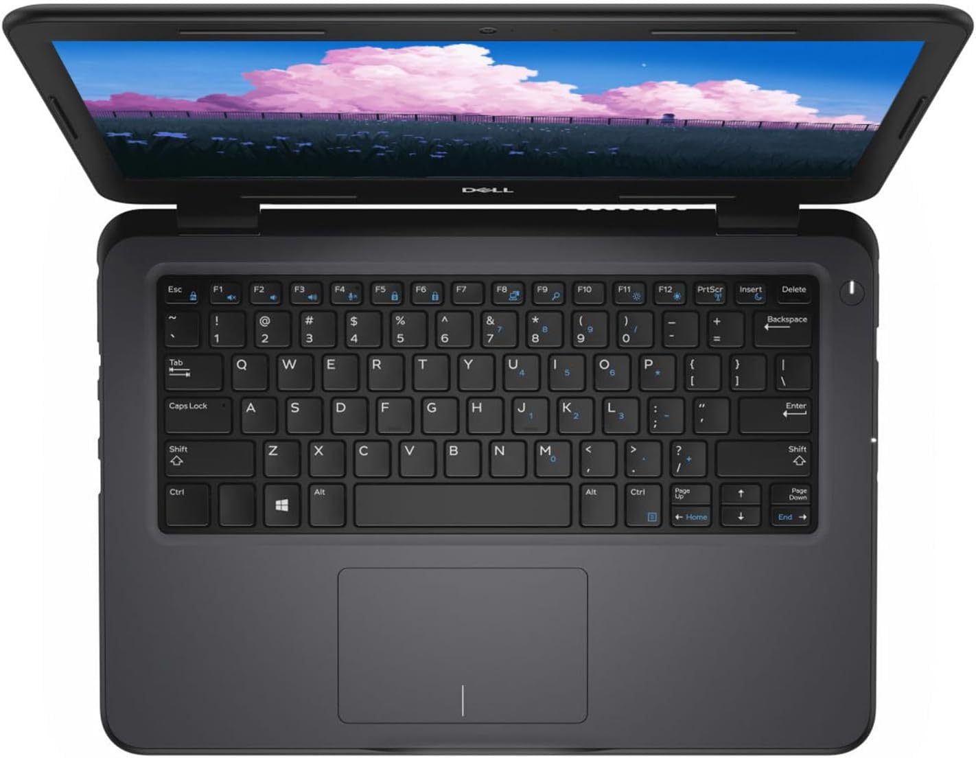 Dell Latitude 3310 13.3