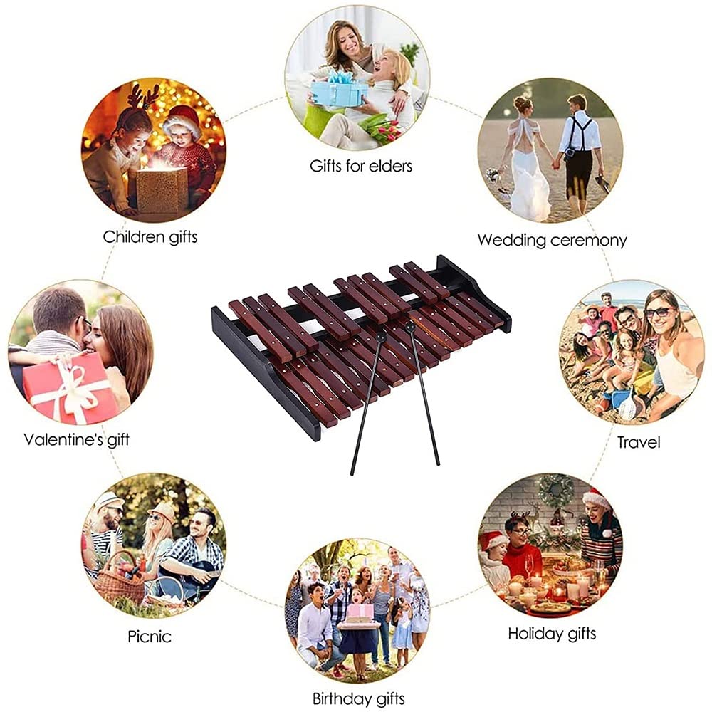 25-Key Wooden Xylophone with 2 Mallets & Carrying Case - Professional Percussion Instrument for Music Education, Kids & Adults - Perfect for Classroom, Home Practice & Musical Performances