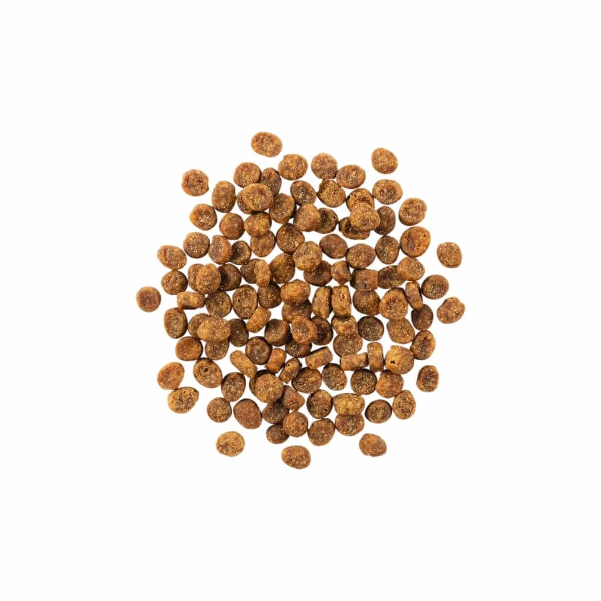 Go! Solutions Sensitivities Limited Ingredient Grain Free Salmon Recipe Dry Cat Food for Sensitive Stomachs - 6lb Bag - Hypoallergenic Cat Food for Indoor & Outdoor Cats with Allergies