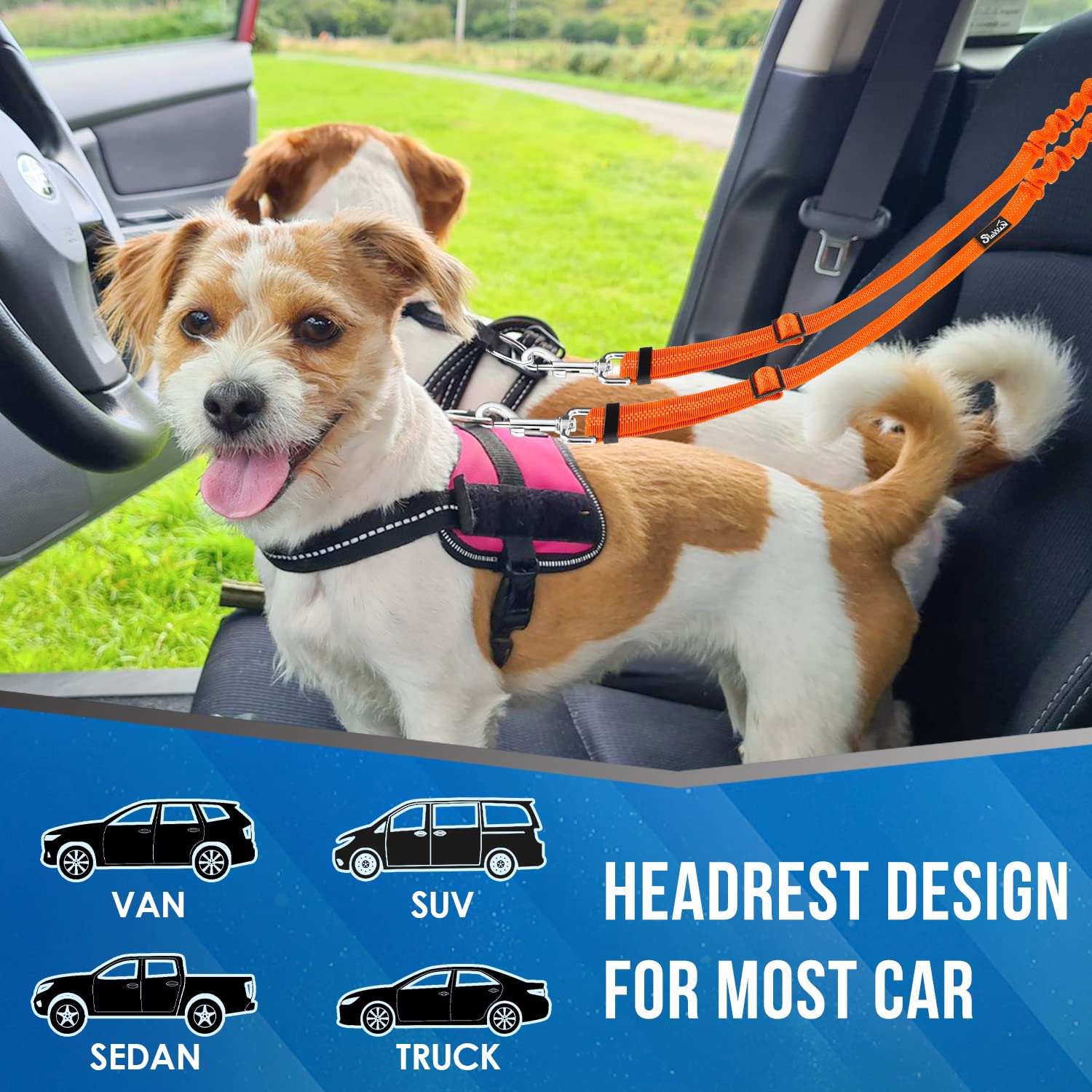 Lukovee Double Dog Seat Belt - Adjustable No Tangle Pet Car Safety Harness for 2 Dogs | Dual Headrest Restraint with Elastic Bungee Leash | Perfect for Road Trips, Vet Visits & Family Travel with Pets (Orange)