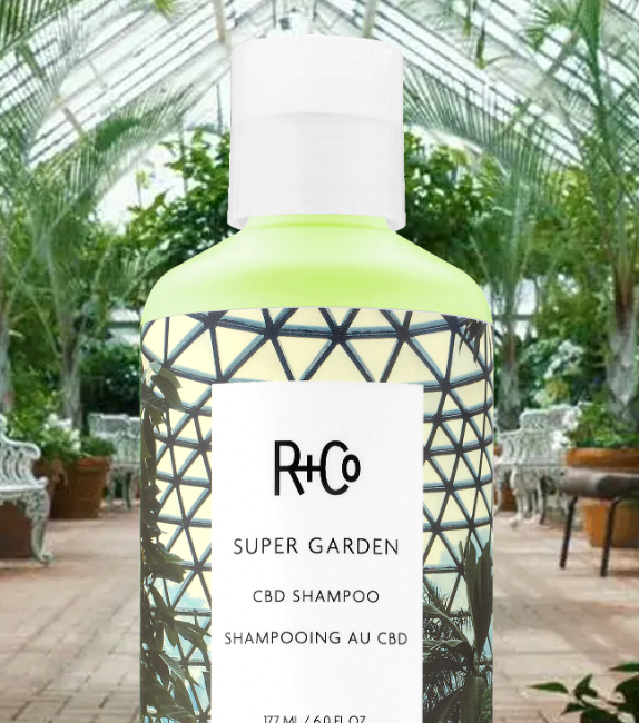 R+Co Super Garden CBD Shampoo for Hair Growth & Scalp Care - Organic Hemp Infused Volumizing Shampoo for Dry, Damaged Hair - Perfect for Daily Use & Salon Quality Results