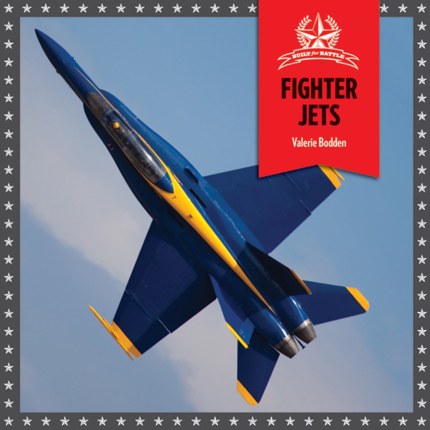 Fighter Jets Book 9781608181261 - Military Aircraft History & Models for Aviation Enthusiasts | Perfect for Collectors & Model Builders