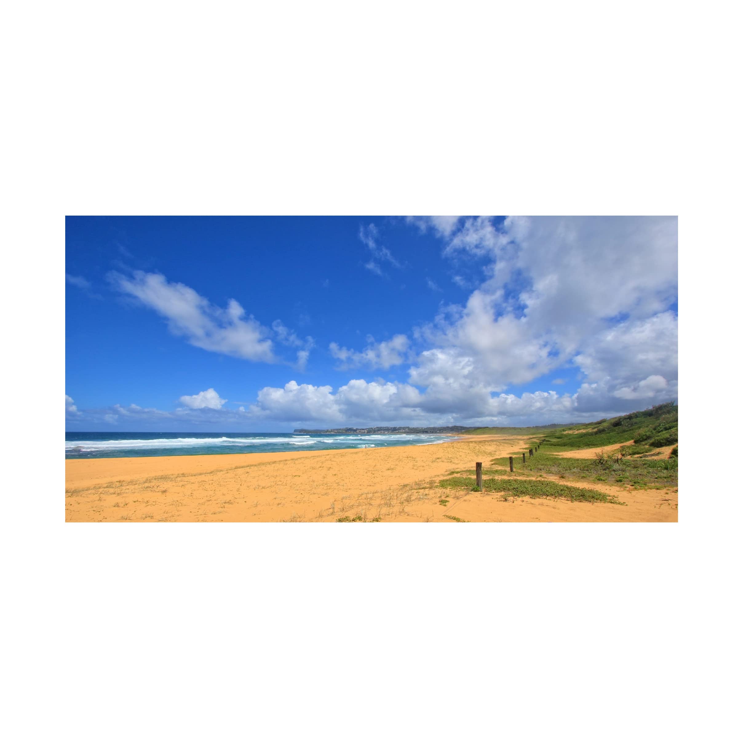 Trademark Fine Art 'Wamberal Beach' Canvas Wall Art Print by Beata Czyzowska Young - Coastal Home Decor for Living Room, Bedroom & Office