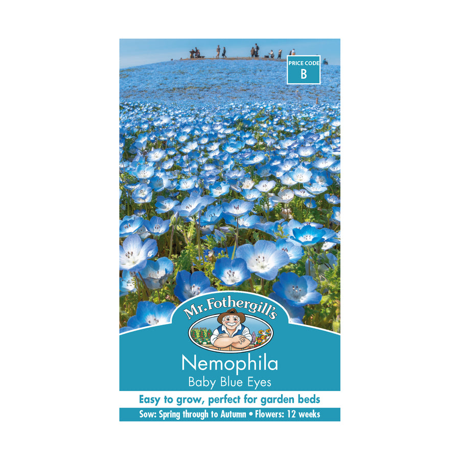 Nemophila 'Baby Blue Eyes' Seeds - Premium Flower Seeds for Garden, Landscaping & DIY Bouquets | Easy to Grow, Vibrant Blue Blooms