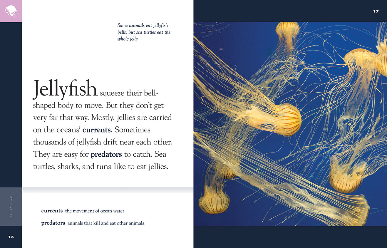 Amazing Animals (2014) - Jellyfish Documentary | Marine Life Educational Film | Perfect for Classroom Learning & Nature Enthusiasts