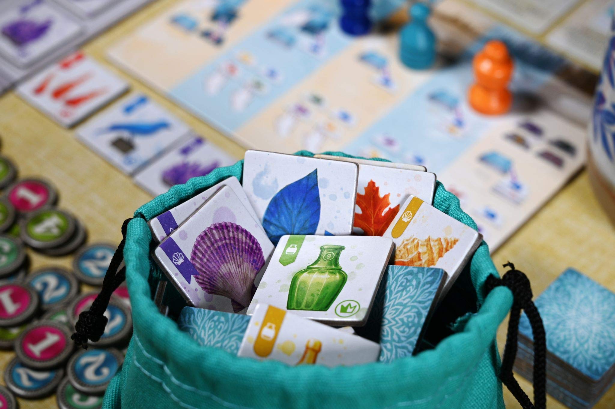 The Whatnot Cabinet Board Game by Pencil First Games - Nature-Themed Collectible Strategy Game for 1-4 Players | Perfect for Family Game Nights & Nature Enthusiasts