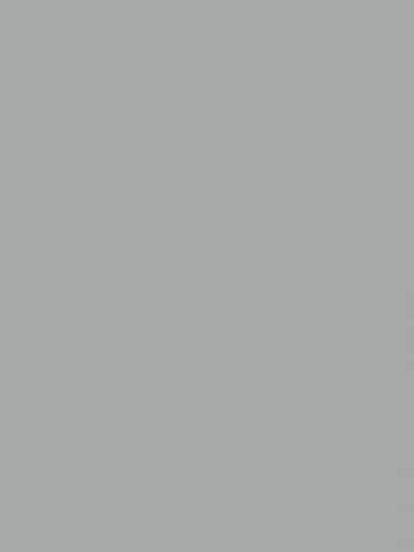 Gray / Grey