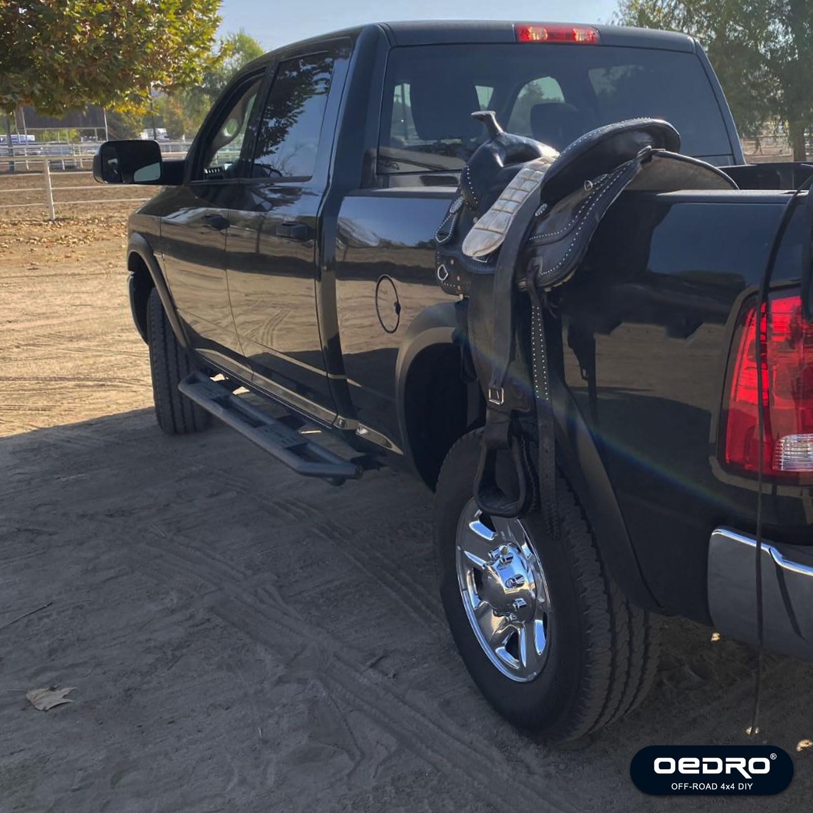 oEdRo 6